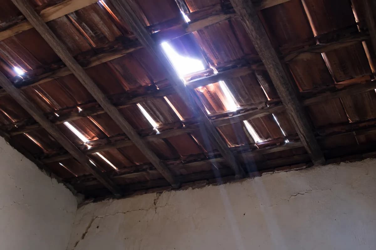 Daylight showing through gaps in the roof boards from inside the cavity