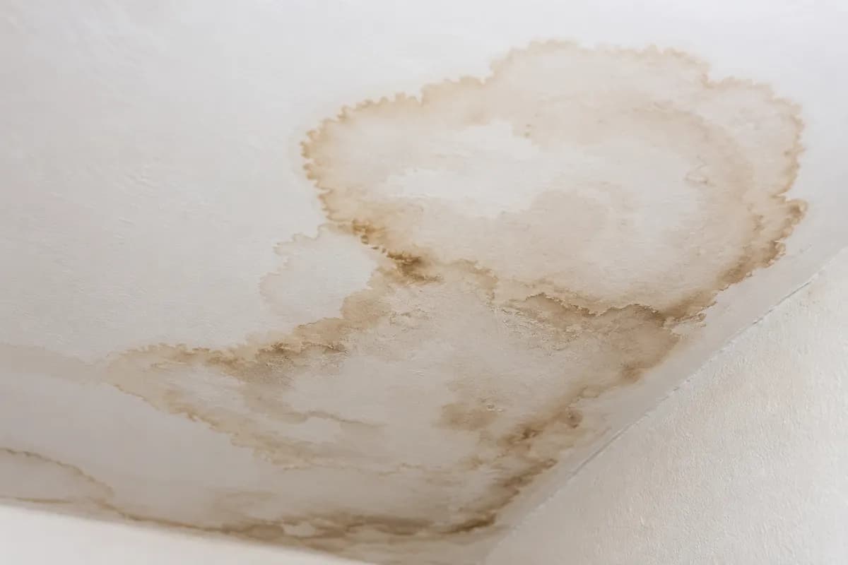 Brown water stain spreading across a ceiling from a roof leak