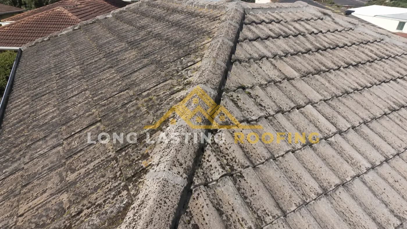 Pressure & Soft-Wash Roof Cleaning, before