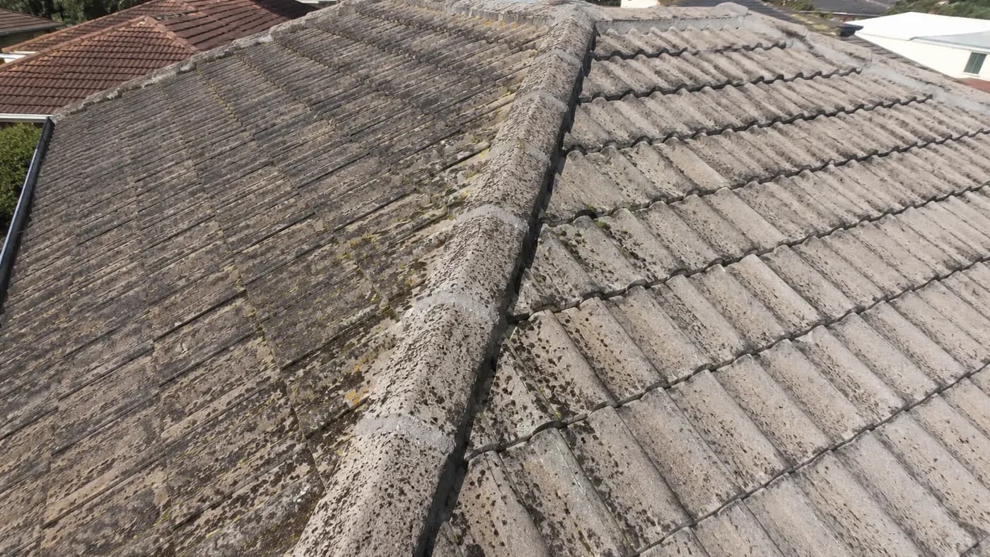 Pressure & Soft-Wash Roof Cleaning, before