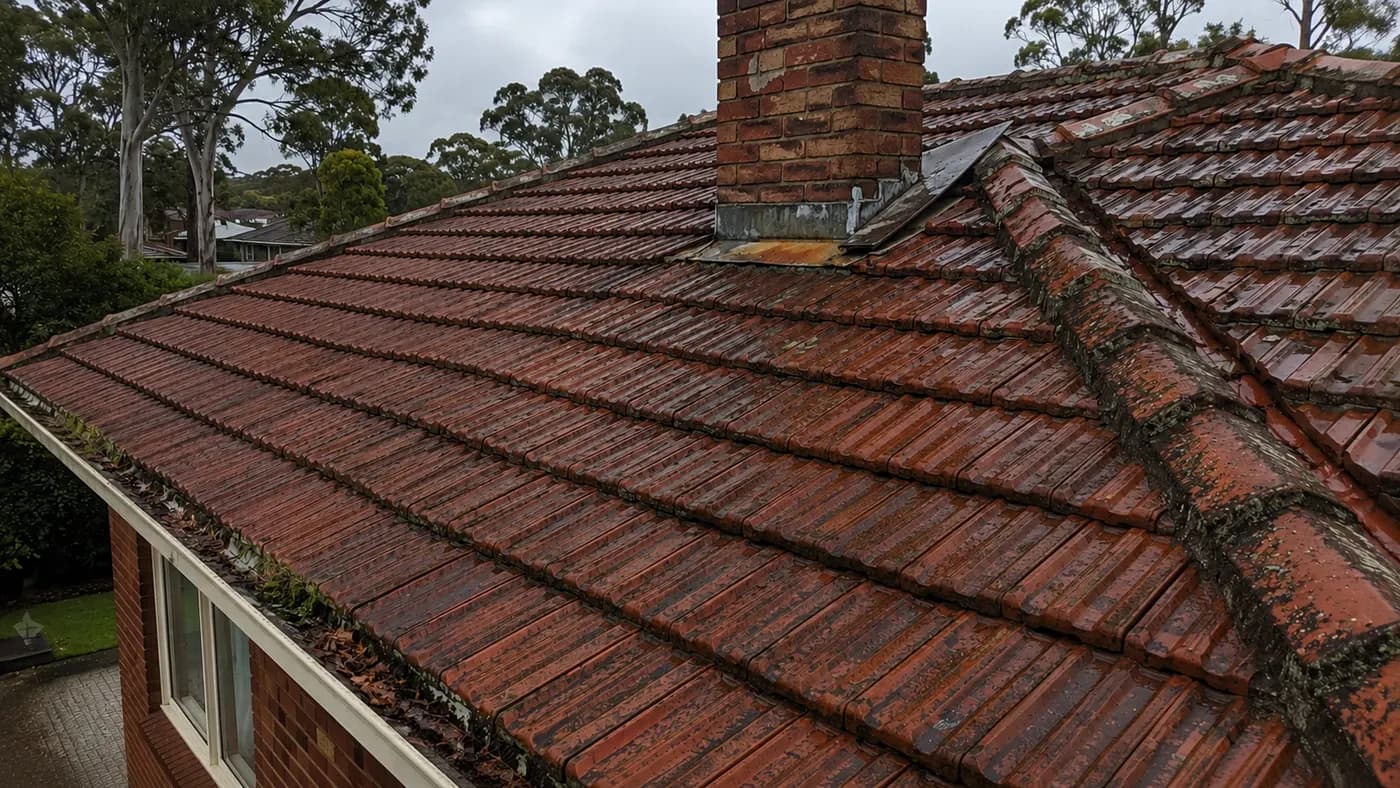 Roof Leak Repairs in Fawkner, after