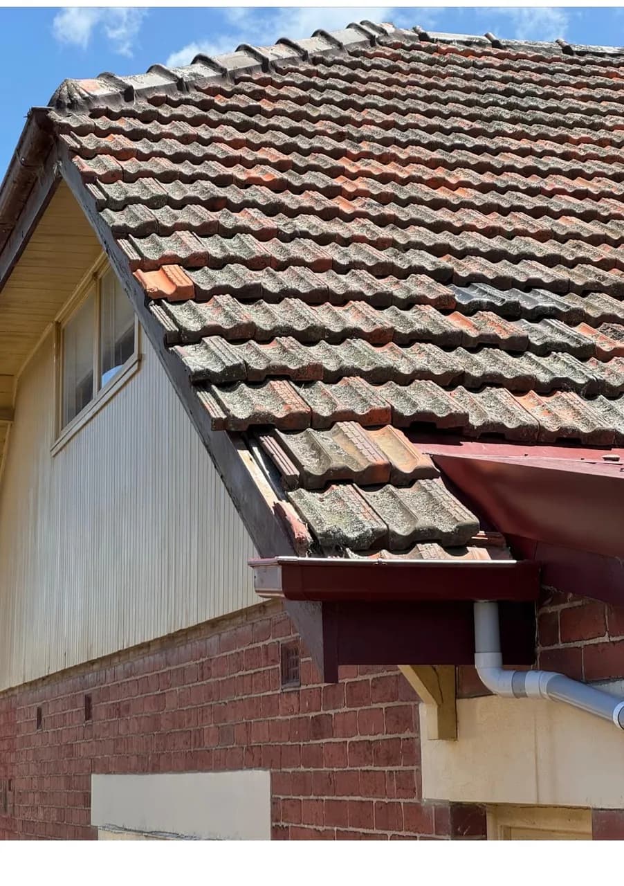 Gutter Replacement on Tile Roof in Pascoe Vale, Melbourne