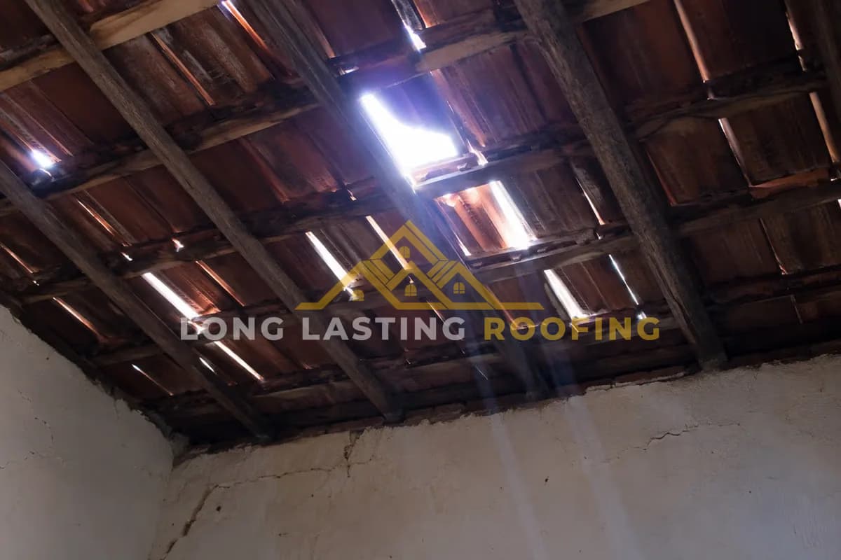 Daylight showing through gaps in the roof boards from inside the cavity